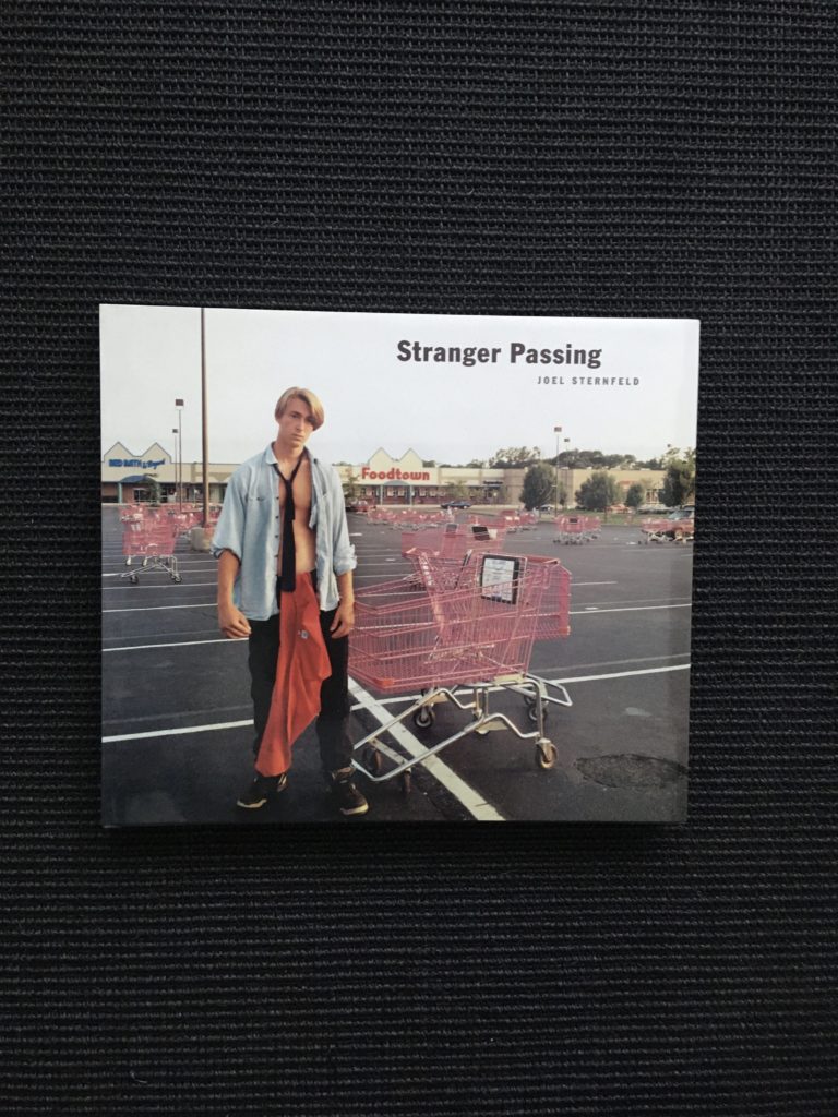 Joel Sternfeld: Stranger Passing
