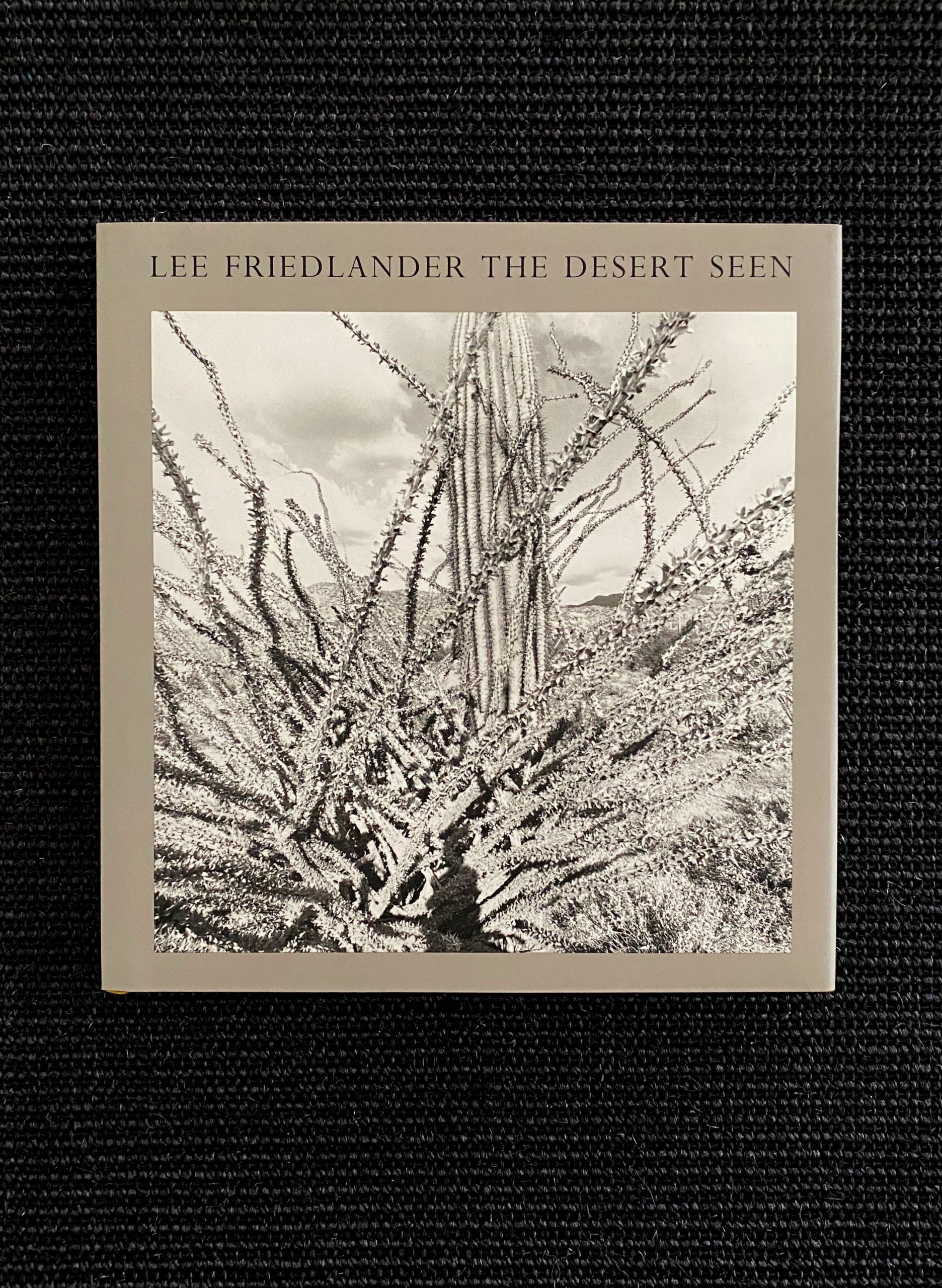 Lee Friedlander: The desert seen ( ARCHIVES ) - Benoit Waterkeyn