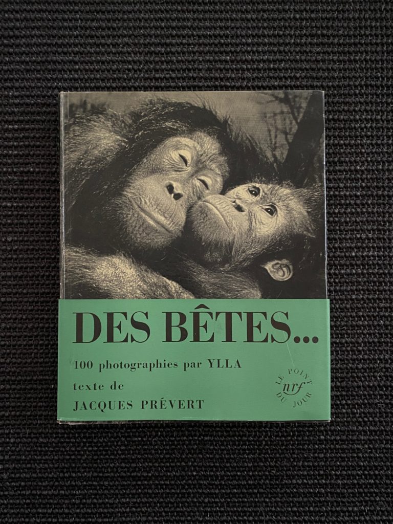 Ylla – Des Bêtes…